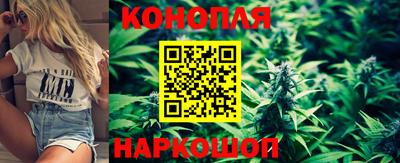 гашик Кунгур