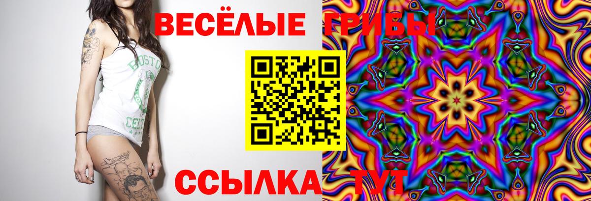 Псилоцибиновые грибы Magic Shrooms  Вход с VPN  Псилоцибиновые грибы Psilocybe  купить наркотики сайты  Черкесск 