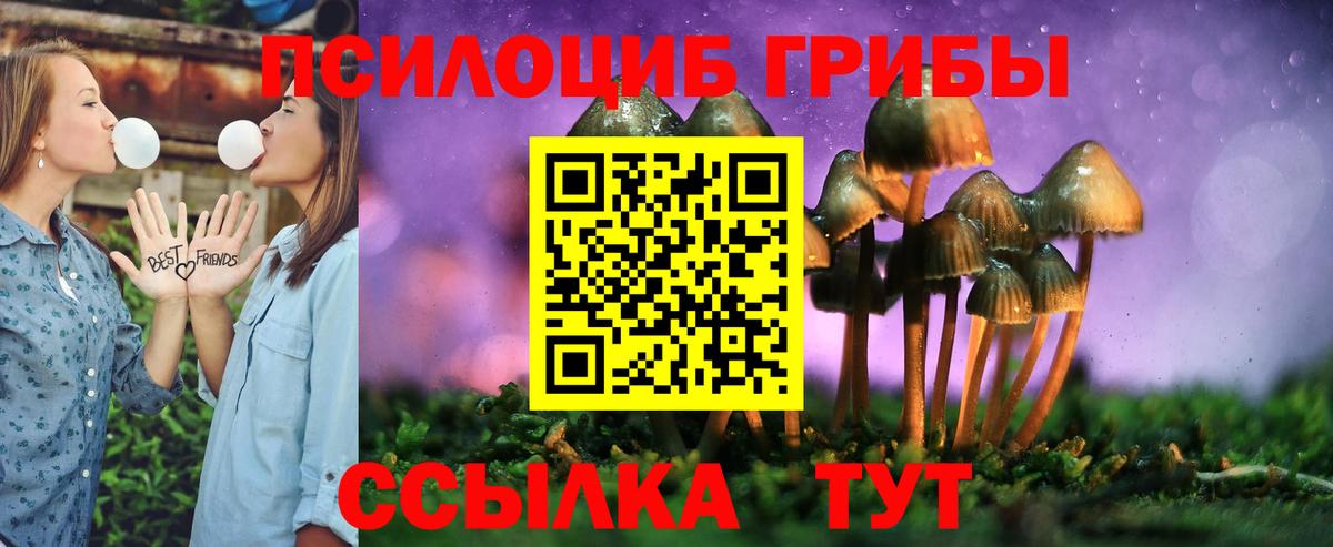 Галлюциногенные грибы ЛСД Черкесск