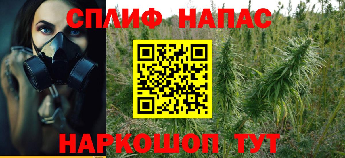 Бошки Шишки планчик Черкесск